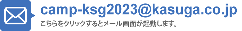 メールから応募の場合